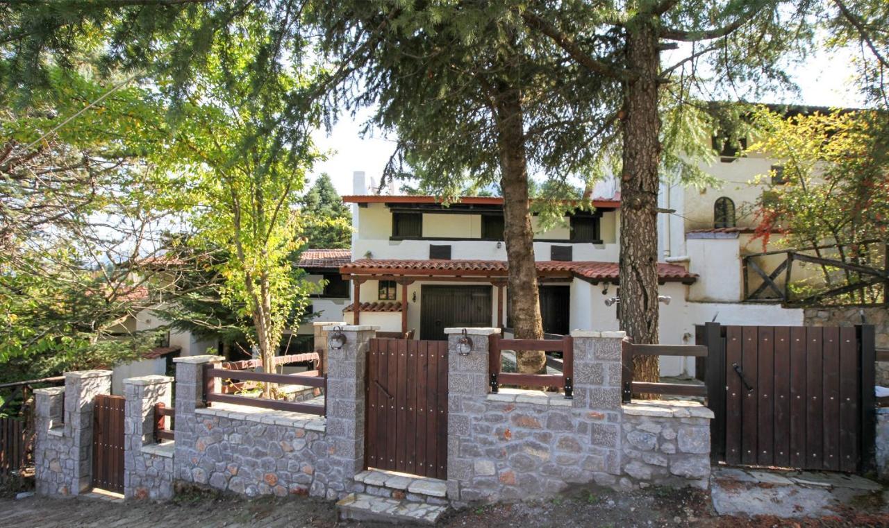 Dandy Villas Agoriani - Chalet Ivoni - Fireplace Eptalofos Luaran gambar